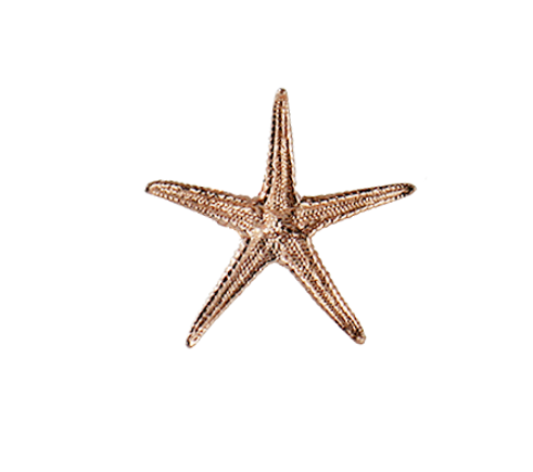 Sea Star Small